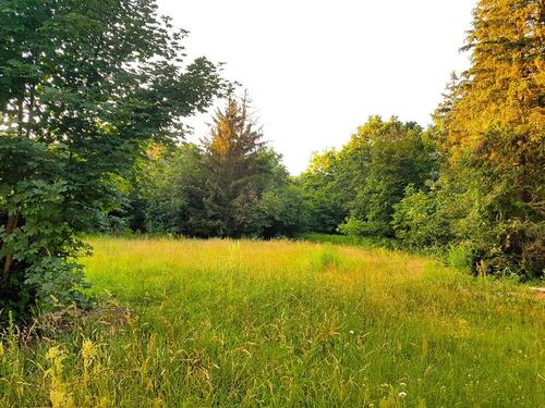 Foto - Grundstück zur Miete in Plessa