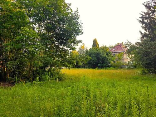 Foto - Grundstück in Plessa