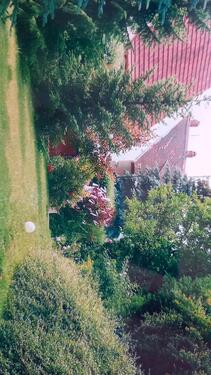 Foto - Bungalow zum Kaufen in Frensdorf