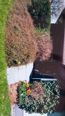 Foto - Bungalow in Frensdorf