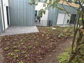 Foto - Etagenwohnung in Billerbeck zur Miete