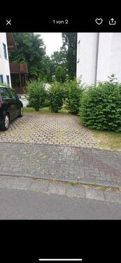 Foto - Parkplatz zu vermieten - Außenstellplatz in Baunatal, Altenritte