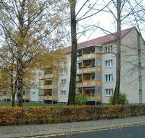 Neu renovierte 2,5-Raumwohnung mit Kletterbonus - Finsterwalde