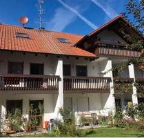 Schöne freie 1-Zimmer Wohnung Keller Stellplatz - Pocking