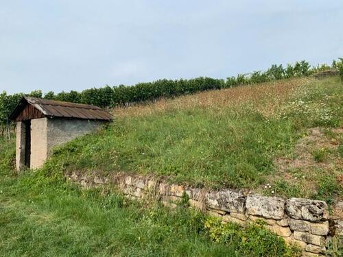 Foto - Garten Grundstück mit kleiner Hütte