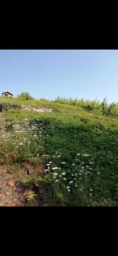 Foto - Grundstück zur Miete in Walheim