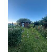 Kleingarten in Bad Doberan - 1.500,00&nbsp;EUR Kaltmiete, ca.&nbsp; 0,00&nbsp;m&sup2; in Bad Doberan (PLZ: 18209)