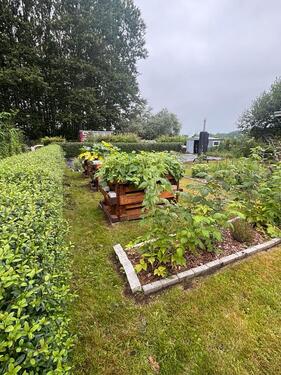 Foto - Grundst&uuml;ck zur Miete in Bad Doberan