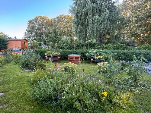 Foto - Grundst&uuml;ck in Bad Doberan