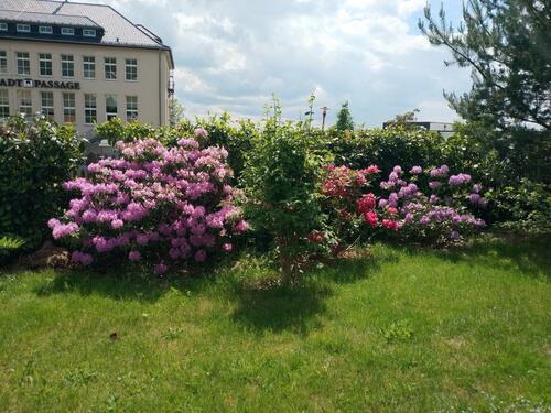 Foto - 6-Zi-Wng,133m2,Centrum Hohenstein-E. Kamin, gr.Garten, Parkplatz-