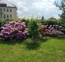 6-Zi-Wng,133m2,Centrum Hohenstein-E. Kamin, gr.Garten, Parkplatz- - Hohenstein-Ernstthal