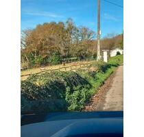 Haus , Ferienhaus, oder kl. Farm Galicien b.Meira! - Zeven