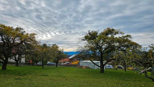 Foto - Grundst&uuml;ck in Hohenpeißenberg