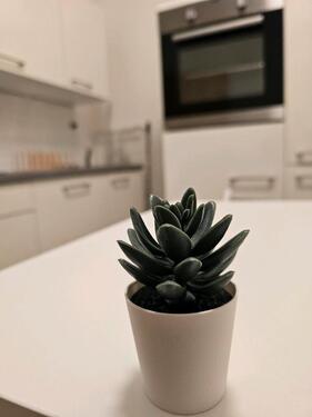 Foto - Etagenwohnung zur Miete in Wismar