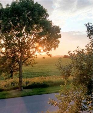 Foto - 2,5-Zimmer-Wohnung in Warwerort – langfristig zu vermieten