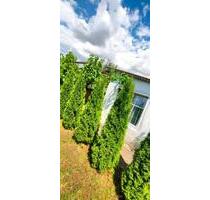 Kleingarten - 6,00&nbsp;EUR Kaltmiete, ca.&nbsp; 0,00&nbsp;m&sup2; in Weißenburg in Bayern (PLZ: 91781)