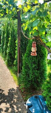 Foto - Grundst&uuml;ck in Weißenburg in Bayern