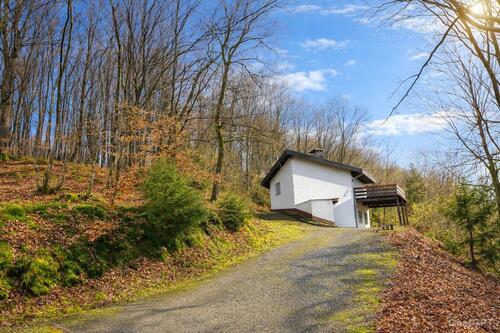 Foto - Natur pur – Wohnen im eigenen Wald mit absoluter Ruhe!