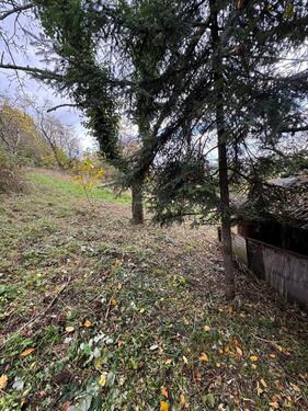 Foto - Grundstück in Altbach zur Miete