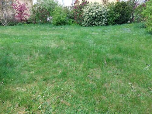 Foto - 2 Zimmer Einfamilienhaus in Pyrbaum