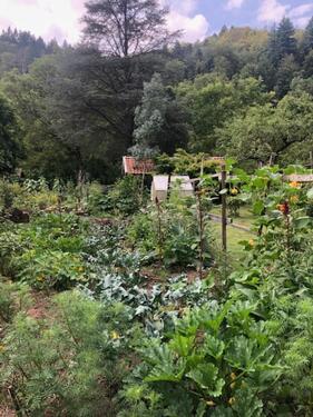 Foto - Schönes Garten- und Freizeitgrundstück an der Nagold zu verkaufen