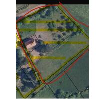 1,1Ha Weide zur Pacht mit großem Bauernhaus - Heilbad Heiligenstadt