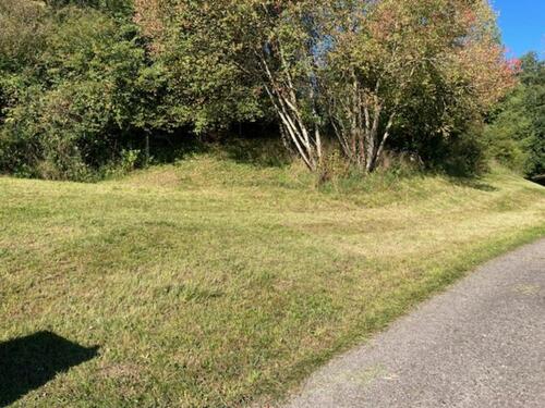 Foto - Weide für Kleinvieh - 10,00 EUR Kaltmiete, ca.  0,00 m²