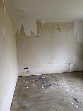 Foto - Hochparterre in Bad Zwischenahn zur Miete