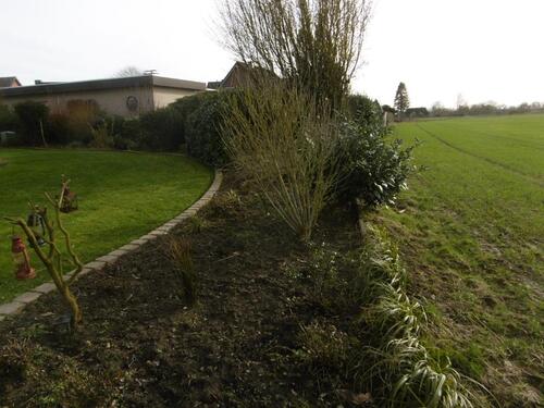 Foto - Einfamilienhaus zum Kaufen in Syke