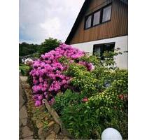 DG-Wohnung, ca.62qm an Einzelperson in Nümbrecht