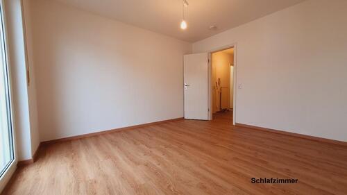 Foto - Etagenwohnung in Dresden zur Miete