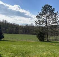 Freistehendes Einfamilienhaus mit großem Garten & Terasse (53577) - Neustadt (Wied) Hombach