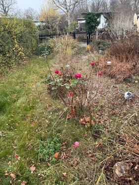 Foto - Grundst&uuml;ck in Gera zur Miete