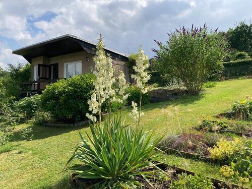 Foto - Kleingarten auf Pachtgelände im Kleingartenverein