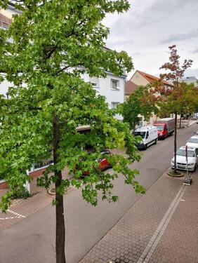 Foto - Etagenwohnung zur Miete in Wiesloch