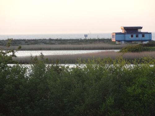 Foto - 