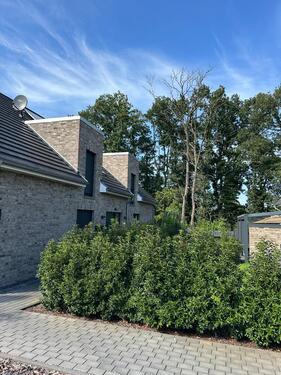 Foto - Moderne 3-Zimmer-Wohnung mit EBK in ruhiger Lage in Winsen Aller