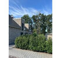 Moderne 3-Zimmer-Wohnung mit EBK in ruhiger Lage in Winsen Aller - Winsen (Aller)