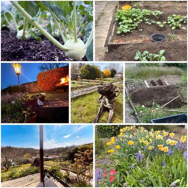 Foto - Pacht Garten in Kleingartenverein