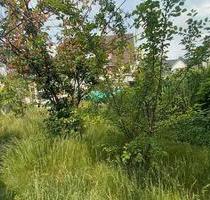 Gartengrundstück, zentral in Alsbach - Alsbach-Hähnlein