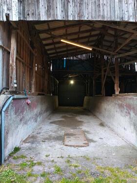 Foto - andere in Löningen