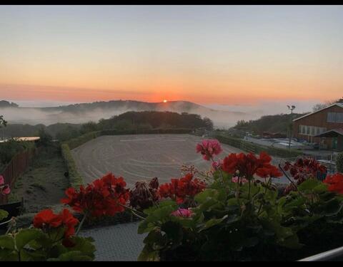 Foto - Maisonette 3 Zimmer auf Reitanlage