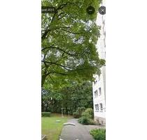 Helle u. ruhige 3-Zimmer-Wohnung am Westkreuz in Pasing - München Pasing-Obermenzing