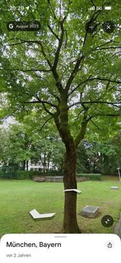 Foto - 3 Zimmer Etagenwohnung zum Kaufen in München