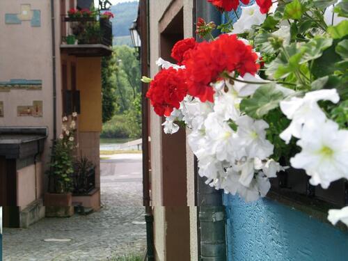 Foto - andere in Ürzig