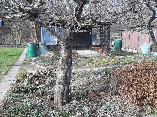 Foto - Grundst&uuml;ck in Bautzen zur Miete