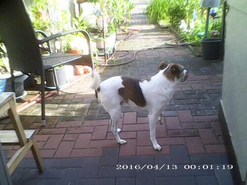 Foto - Ostfriesland wohnen - 380,00 EUR Kaltmiete,