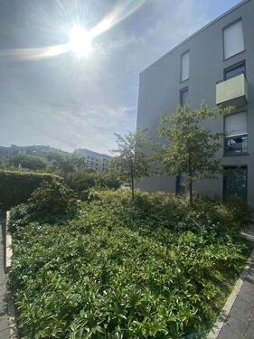 Foto - 2.5 Zimmer Etagenwohnung in Essen