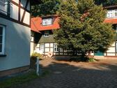 Foto - 1 Zimmer Erdgeschoßwohnung zur Miete in Wernigerode