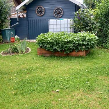 Foto - Grundst&uuml;ck zur Miete in Hessisch Oldendorf